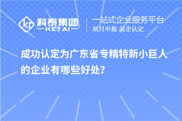 成功認(rèn)定為廣東省專精特新小巨人的企業(yè)有哪些好處？