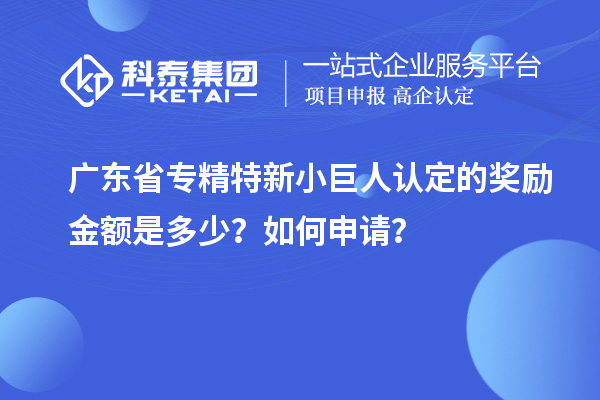 廣東省專精特新小巨人認(rèn)定的獎(jiǎng)勵(lì)金額是多少？如何申請(qǐng)？