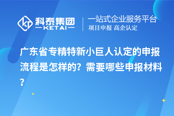 廣東省專精特新小巨人認(rèn)定的申報(bào)流程是怎樣的？需要哪些申報(bào)材料？