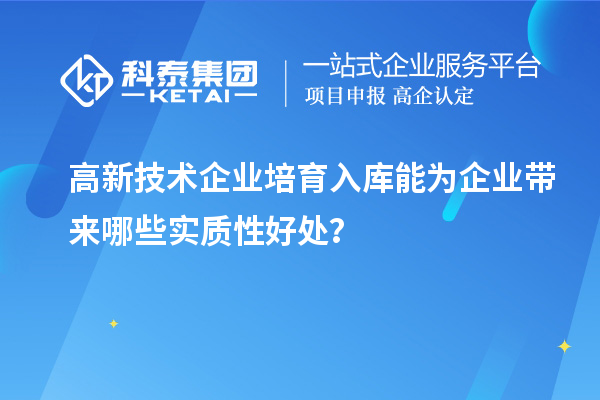 高新技術(shù)企業(yè)培育入庫(kù)能為企業(yè)帶來(lái)哪些實(shí)質(zhì)性好處？