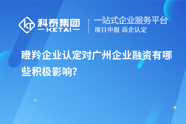 瞪羚企業(yè)認(rèn)定對廣州企業(yè)融資有哪些積極影響？