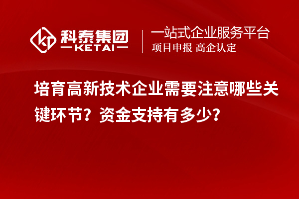 培育高新技術(shù)企業(yè)需要注意哪些關(guān)鍵環(huán)節(jié)？資金支持有多少？