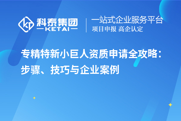 專精特新小巨人資質申請全攻略：步驟、技巧與企業(yè)案例