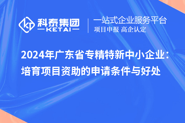 2024年廣東省<a href=http://www.xljuanlianmen.com/fuwu/zhuanjingtexin.html target=_blank class=infotextkey>專精特新中小企業(yè)</a>：培育項目資助的申請條件與好處