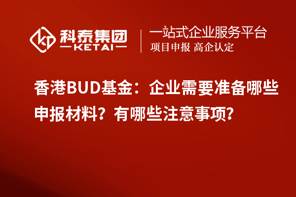 香港BUD基金：企業(yè)需要準(zhǔn)備哪些申報材料？有哪些注意事項？