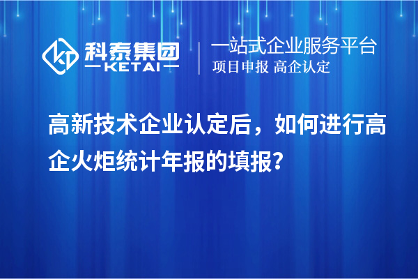 高新技術(shù)企業(yè)認(rèn)定后，如何進(jìn)行高企火炬統(tǒng)計(jì)年報(bào)的填報(bào)？