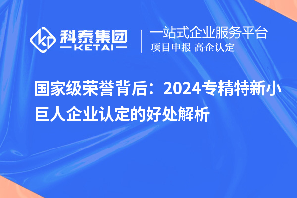 國家級(jí)榮譽(yù)背后：2024專精特新小巨人企業(yè)認(rèn)定的好處解析