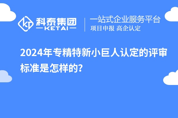 2024年專精特新小巨人認(rèn)定的評審標(biāo)準(zhǔn)是怎樣的？