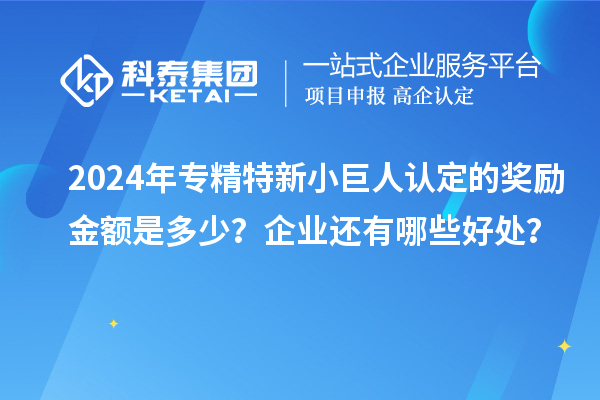 2024年專精特新小巨人認(rèn)定的獎勵金額是多少？企業(yè)還有哪些好處？