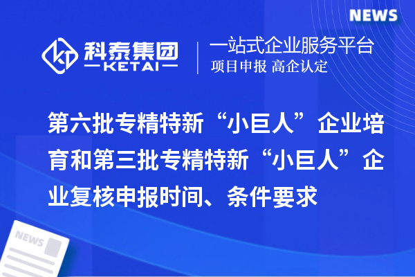 第六批專精特新“小巨人”企業(yè)培育和第三批專精特新“小巨人”企業(yè)復核申報時間、條件要求、補助獎勵