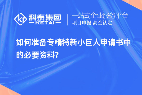 如何準備專精特新小巨人申請書中的必要資料？