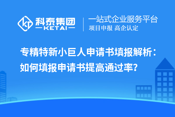 專精特新小巨人申請書填報解析：如何填報申請書提高通過率？
