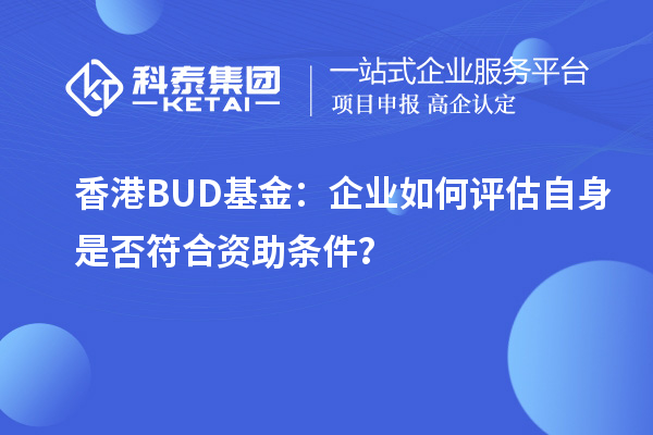 香港BUD基金：企業(yè)如何評(píng)估自身是否符合資助條件？
