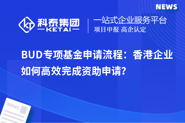 BUD專項(xiàng)基金申請(qǐng)流程：香港企業(yè)如何高效完成資助申請(qǐng)？