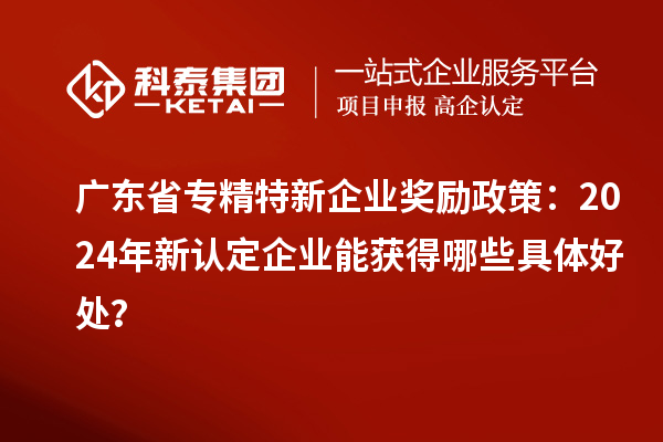 廣東省專精特新企業(yè)獎(jiǎng)勵(lì)政策：2024年新認(rèn)定企業(yè)能獲得哪些具體好處？