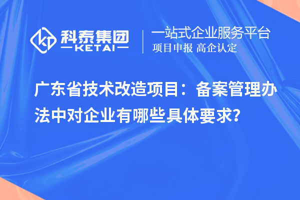 廣東省技術(shù)改造項目：備案管理辦法中對企業(yè)有哪些具體要求？
