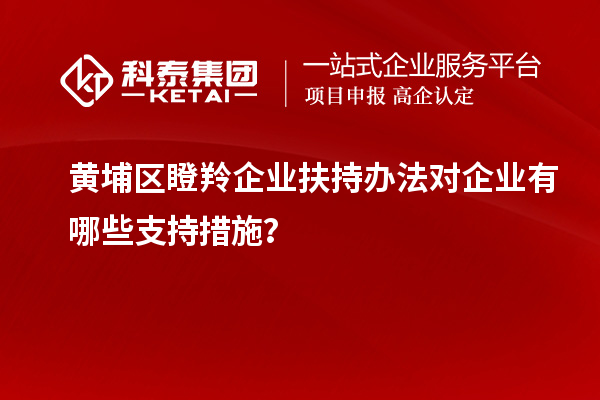 黃埔區(qū)瞪羚企業(yè)扶持辦法對企業(yè)有哪些支持措施？