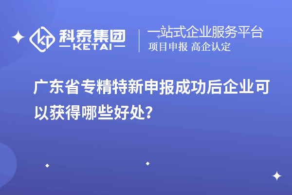 廣東省專(zhuān)精特新申報(bào)成功后企業(yè)可以獲得哪些好處？