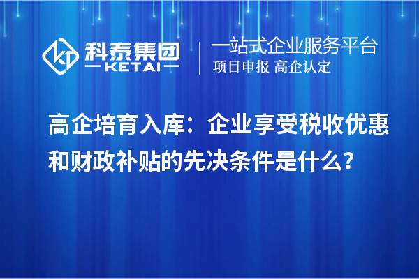 高企培育入庫：企業(yè)享受稅收優(yōu)惠和財(cái)政補(bǔ)貼的先決條件是什么？