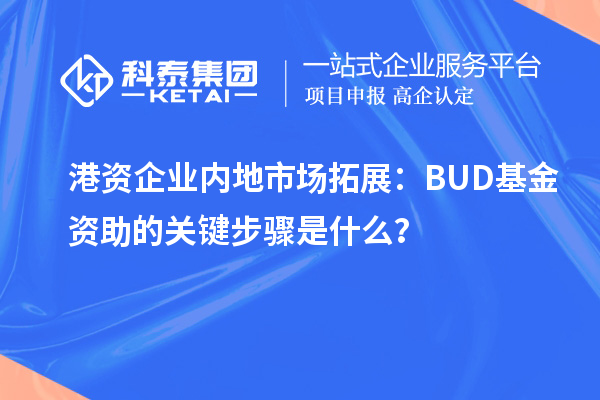 港資企業(yè)內(nèi)地市場(chǎng)拓展：BUD基金資助的關(guān)鍵步驟是什么？