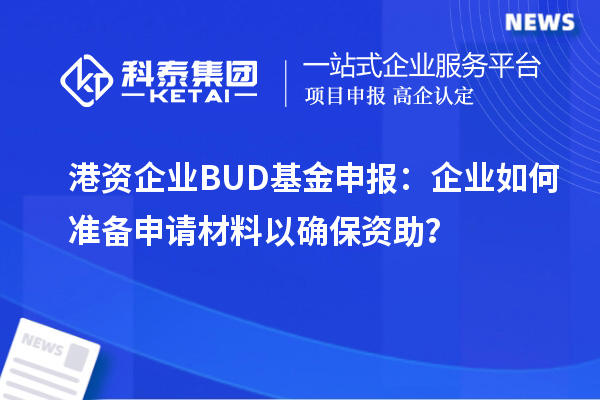 港資企業(yè)BUD基金申報(bào)：企業(yè)如何準(zhǔn)備申請(qǐng)材料以確保資助？