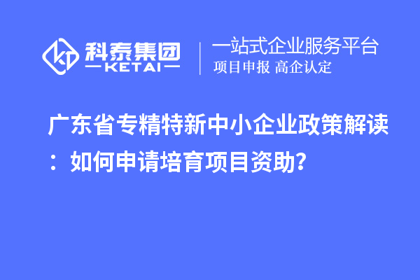 廣東省專精特新中小企業(yè)政策解讀：如何申請培育項目資助？