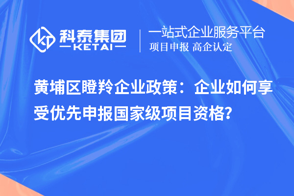 黃埔區(qū)瞪羚企業(yè)政策：企業(yè)如何享受優(yōu)先申報國家級項目資格？