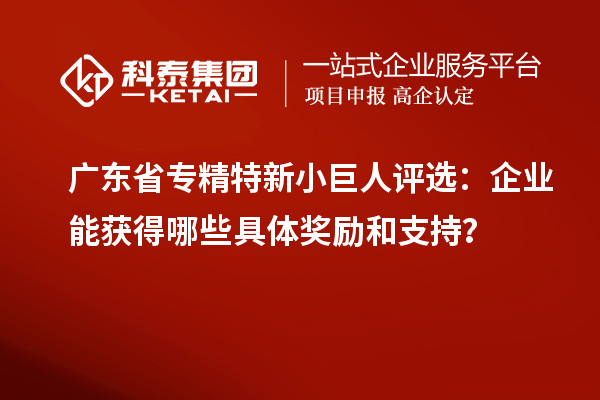 廣東省專精特新小巨人評選：企業(yè)能獲得哪些具體獎勵和支持？