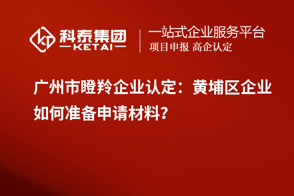廣州市瞪羚企業(yè)認定：黃埔區(qū)企業(yè)如何準備申請材料？