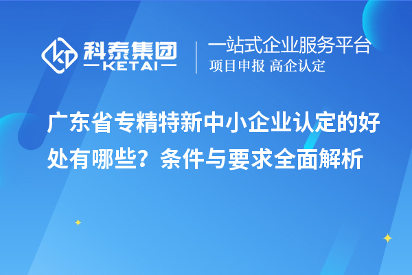 廣東省專(zhuān)精特新中小企業(yè)認(rèn)定的好處有哪些？條件與要求全面解析