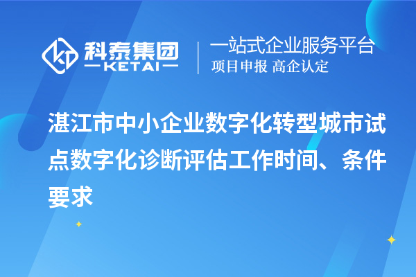 湛江市中小企業(yè)數(shù)字化轉(zhuǎn)型城市試點(diǎn)數(shù)字化診斷評估工作時間、條件要求
