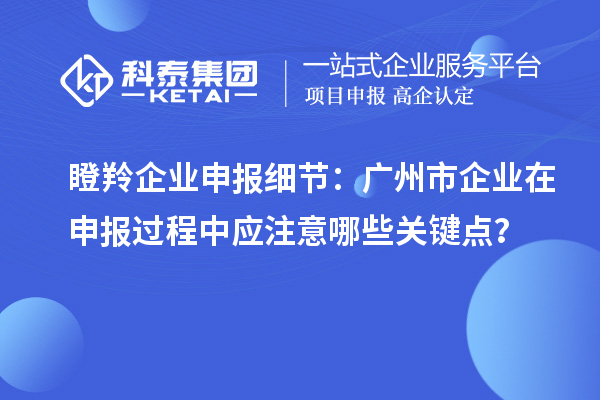 瞪羚企業(yè)申報細(xì)節(jié)：廣州市企業(yè)在申報過程中應(yīng)注意哪些關(guān)鍵點(diǎn)？