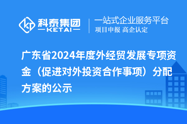 廣東省2024年度外經(jīng)貿(mào)發(fā)展專項資金（促進(jìn)對外投資合作事項）分配方案的公示