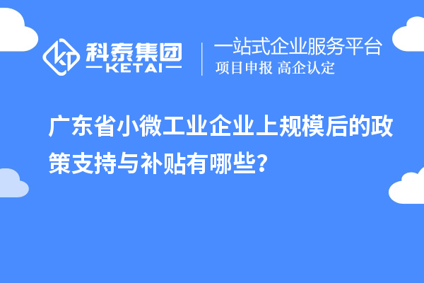 廣東省小微工業(yè)企業(yè)上規(guī)模后的政策支持與補貼有哪些？