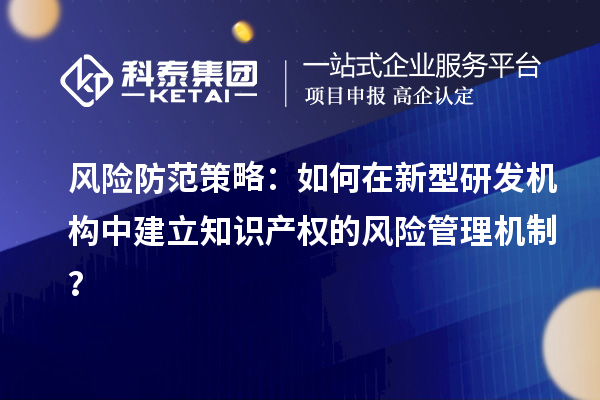 風險防范策略：如何在新型研發(fā)機構中建立知識產(chǎn)權的風險管理機制？