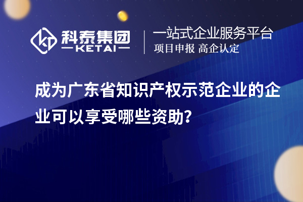成為廣東省知識產(chǎn)權(quán)示范企業(yè)的企業(yè)可以享受哪些資助？