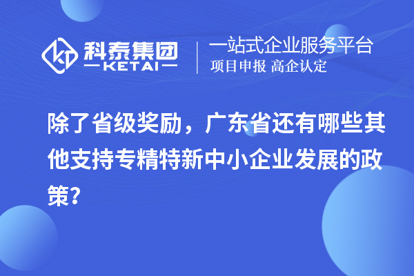 除了省級(jí)獎(jiǎng)勵(lì)，廣東省還有哪些其他支持專精特新中小企業(yè)發(fā)展的政策？