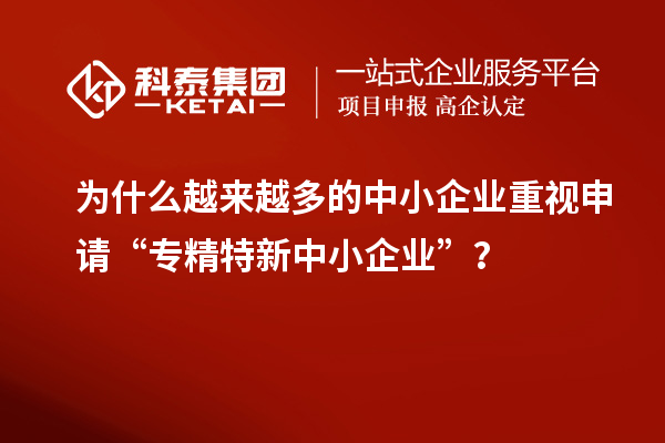 為什么越來越多的中小企業(yè)重視申請(qǐng)“專精特新中小企業(yè)”？