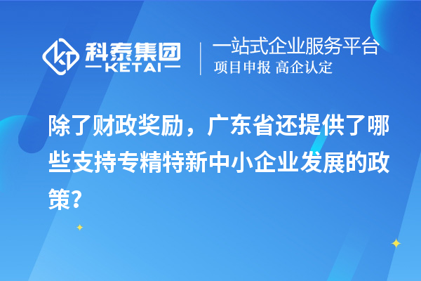 除了財(cái)政獎(jiǎng)勵(lì)，廣東省還提供了哪些支持專精特新中小企業(yè)發(fā)展的政策？