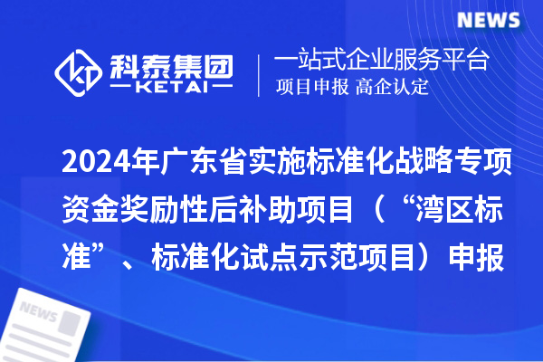 2024年廣東省實施標(biāo)準(zhǔn)化戰(zhàn)略專項資金獎勵性后補助項目（“灣區(qū)標(biāo)準(zhǔn)”、標(biāo)準(zhǔn)化試點示范項目）申報時間、條件要求