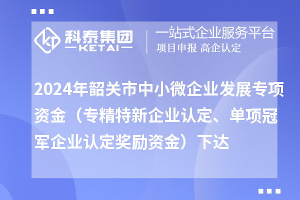 2024年韶關(guān)市中小微企業(yè)發(fā)展專項資金（專精特新企業(yè)認定、單項冠軍企業(yè)認定獎勵資金）下達