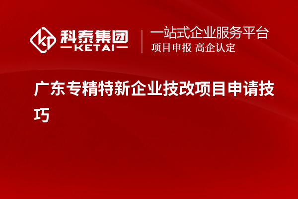 廣東專精特新企業(yè)技改項(xiàng)目申請技巧