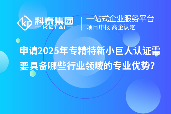 申請2025年專精特新小巨人認(rèn)證需要具備哪些行業(yè)領(lǐng)域的專業(yè)優(yōu)勢？