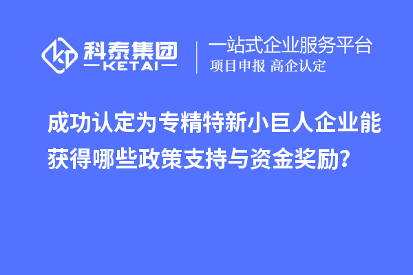 成功認定為專精特新小巨人企業(yè)能獲得哪些政策支持與資金獎勵？