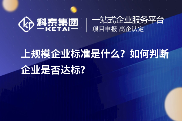 上規(guī)模企業(yè)標(biāo)準(zhǔn)是什么？如何判斷企業(yè)是否達(dá)標(biāo)？