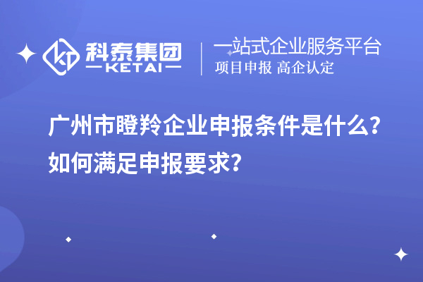 廣州市瞪羚企業(yè)申報條件是什么？如何滿足申報要求？