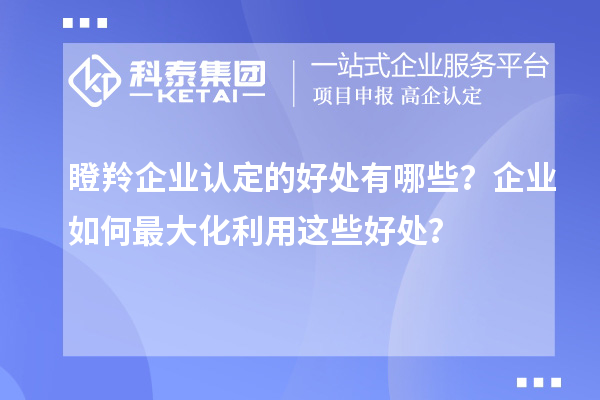 瞪羚企業(yè)認(rèn)定的好處有哪些？企業(yè)如何最大化利用這些好處？