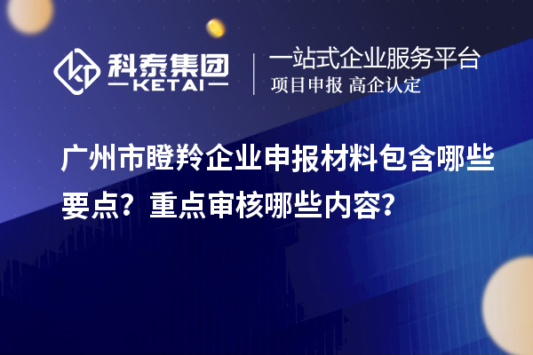 廣州市瞪羚企業(yè)申報材料包含哪些要點(diǎn)？重點(diǎn)審核哪些內(nèi)容？