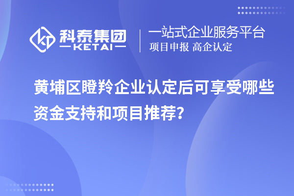黃埔區(qū)瞪羚企業(yè)認(rèn)定后可享受哪些資金支持和項目推薦？