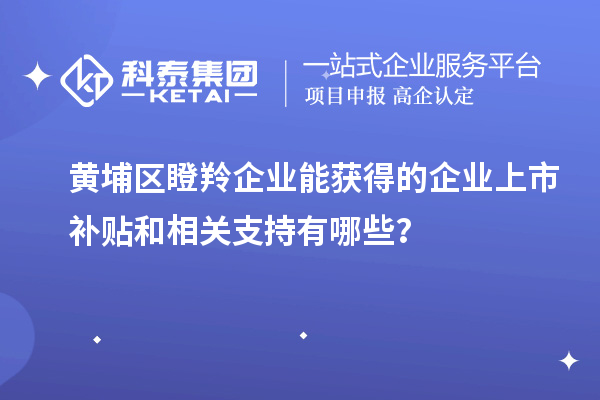 黃埔區(qū)瞪羚企業(yè)能獲得的企業(yè)上市補貼和相關(guān)支持有哪些？